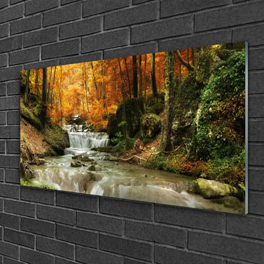 Tablou pe sticla Cascada Natural Pădurea Verde Brun Galben