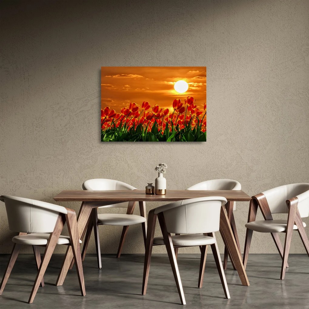 Tablou pe sticlă - lan înflorit de lalele (70x50 cm)