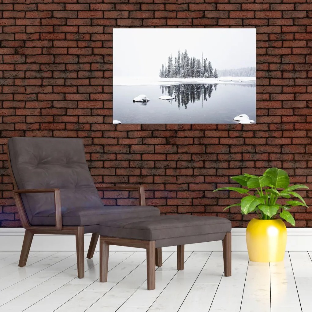 Tablou - A fost alb (90x60 cm)