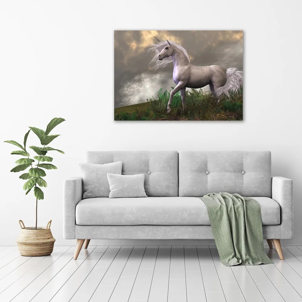 Tablou canvas Unicorn gri