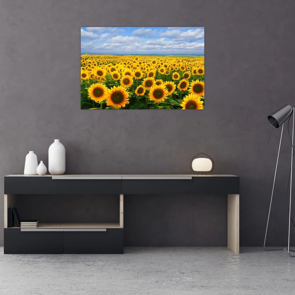 Tablou cu lan de floarea soarelui (90x60 cm)