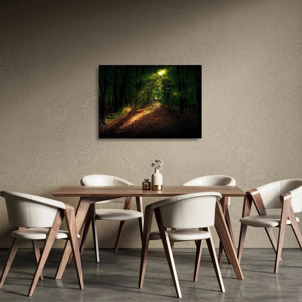 Tablou pe sticlă cu poteca prin pădure (70x50 cm)