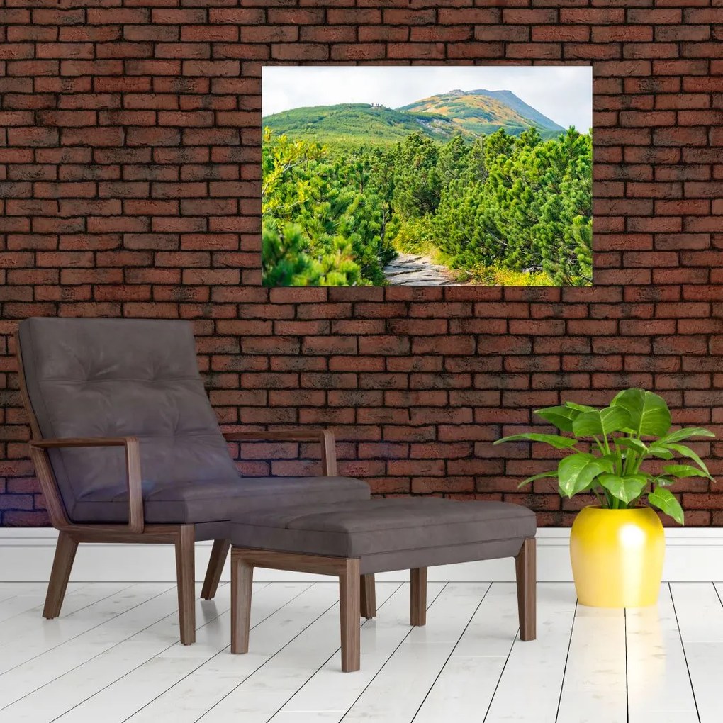 Tablou - Babi Hora, Polonia (90x60 cm)