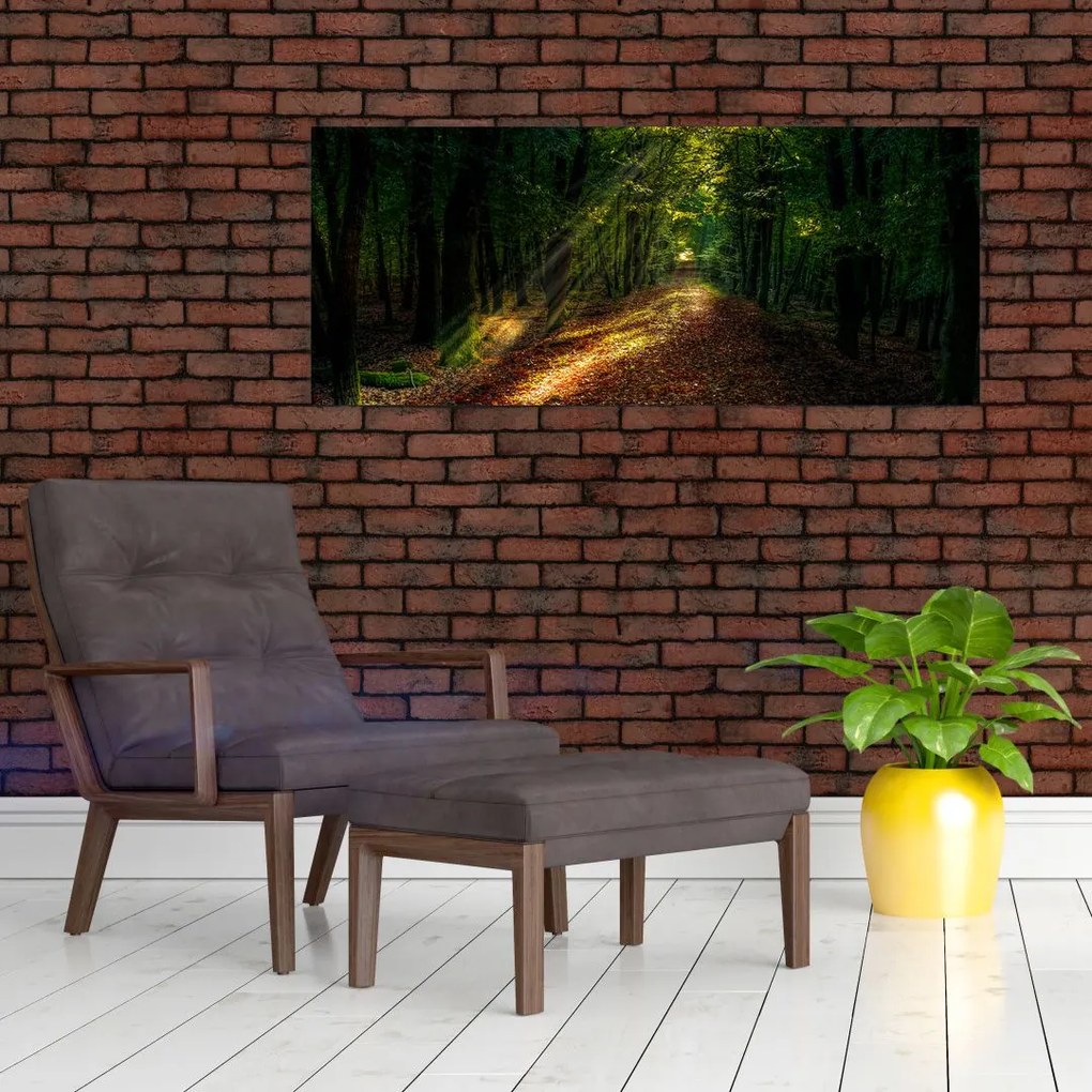 Tablou cu poteca prin pădure (120x50 cm)