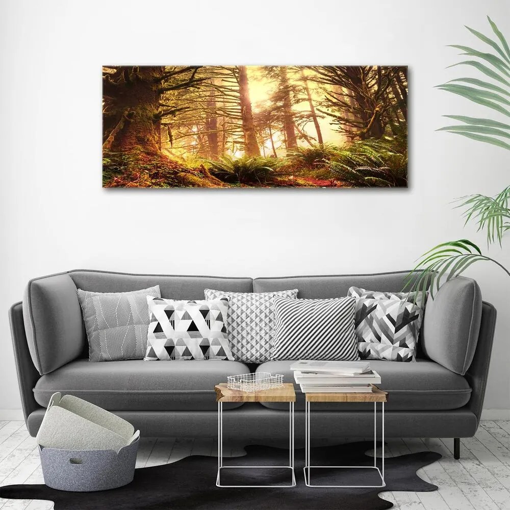 Tablou pe pânză canvas Pădurea tropicală