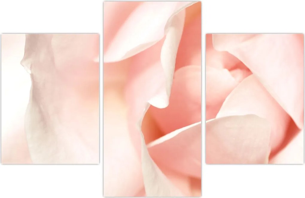 Tablou - Trandafiri (90x60 cm)