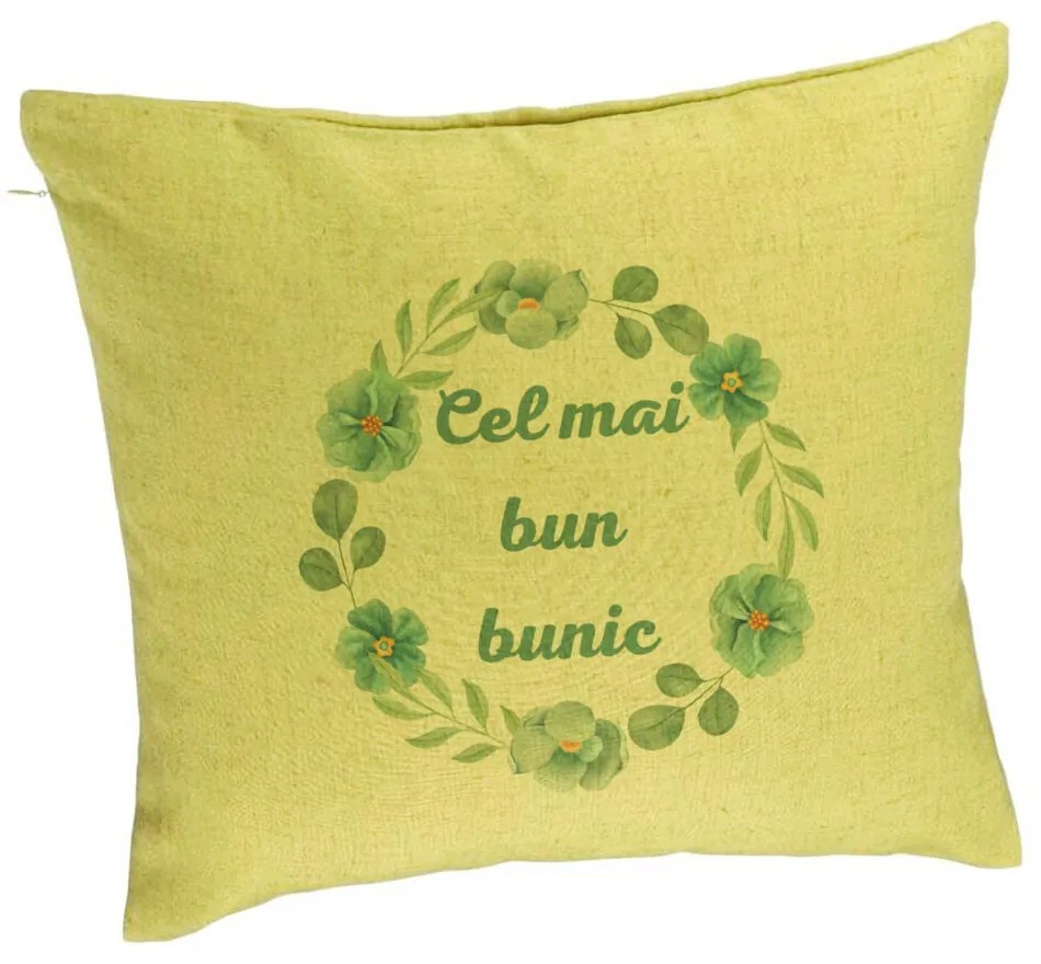 Perna Decorativa pentru Bunicul 4, 40x40 cm, Verde, Husa Detasabila, Burduf