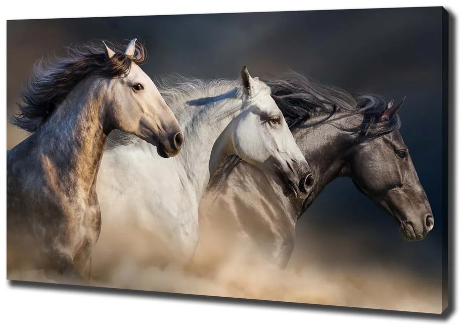 Imprimare tablou canvas Galopantă cai