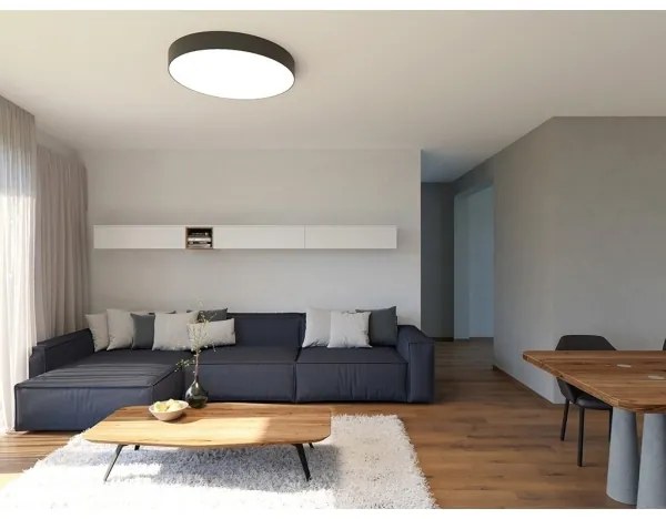 LED2 - Lampă plafon LED dimabilă MONO LED/100W/230V 3000K/4000K negru