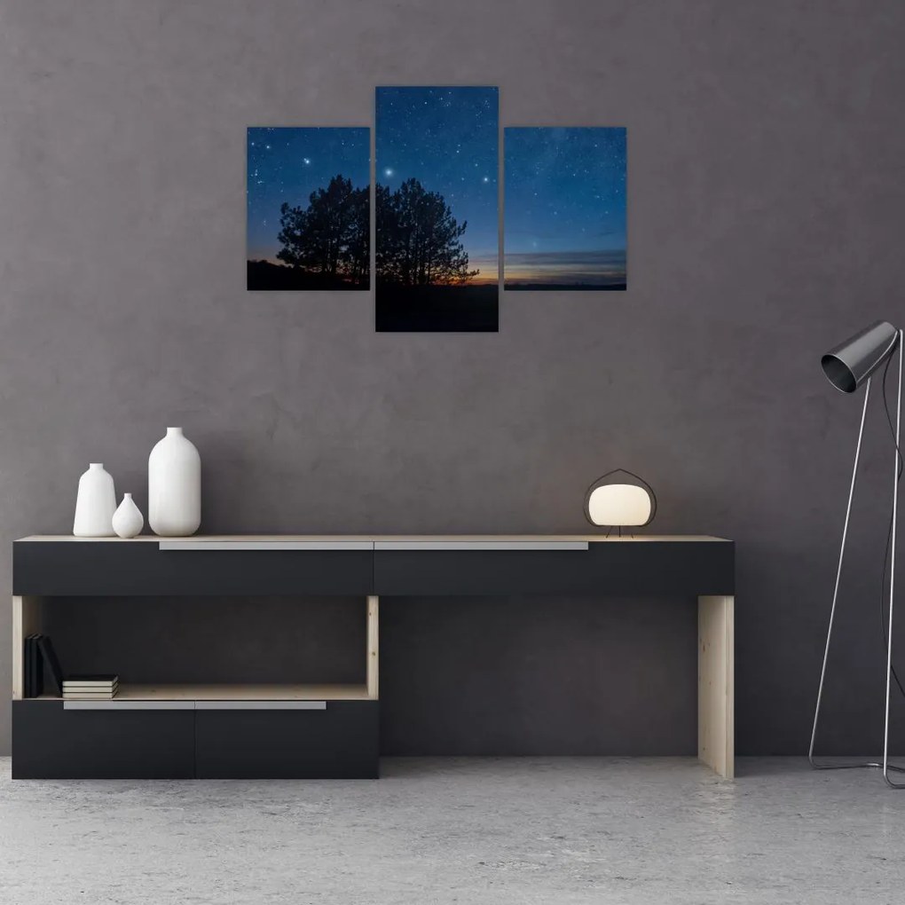 Tablou cu copaci noapte (90x60 cm)