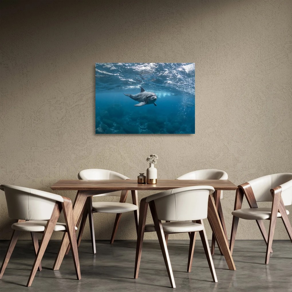 Tablou pe sticlă - Delfin sub apă (70x50 cm)