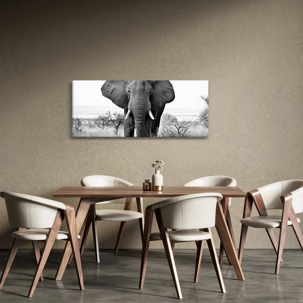 Tablou - Elefantul african II. (120x50 cm)