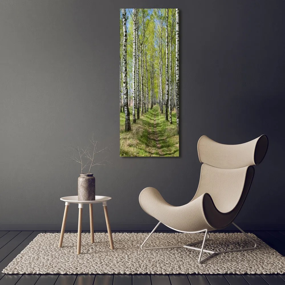 Tablou canvas Pădurea de mesteacăn