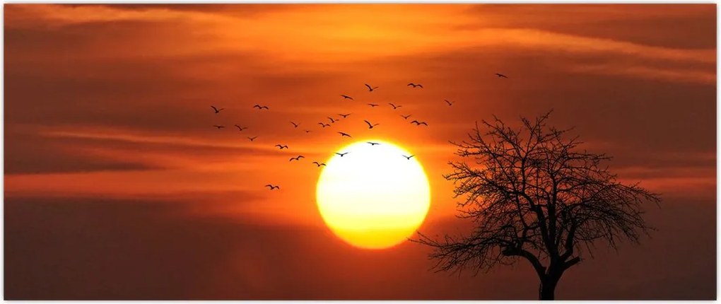 Tablou - Apus de soare (120x50 cm)