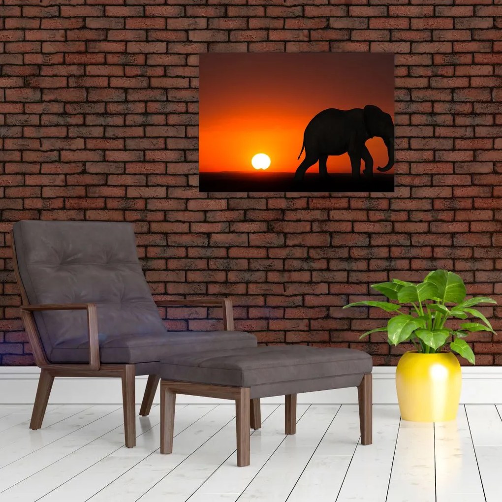 Tablou pe sticlă cu elefant în apus de soare (70x50 cm)