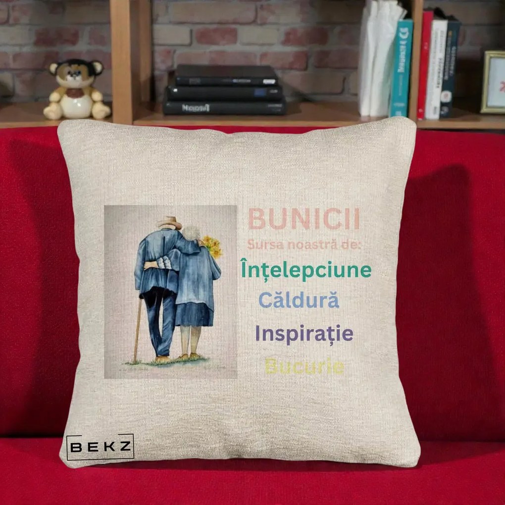 Cadou pentru Bunici - Perna Personalizata Bunicii Sursa Intelepciune Caldura Acuarela, 40x40 cm, Bej Canapea, Husa Detasabila, Perna Inclusa, BEKZ®