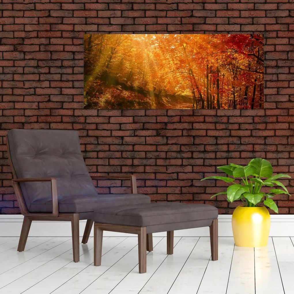 Tablou cu pădurea în toamnă (120x50 cm)