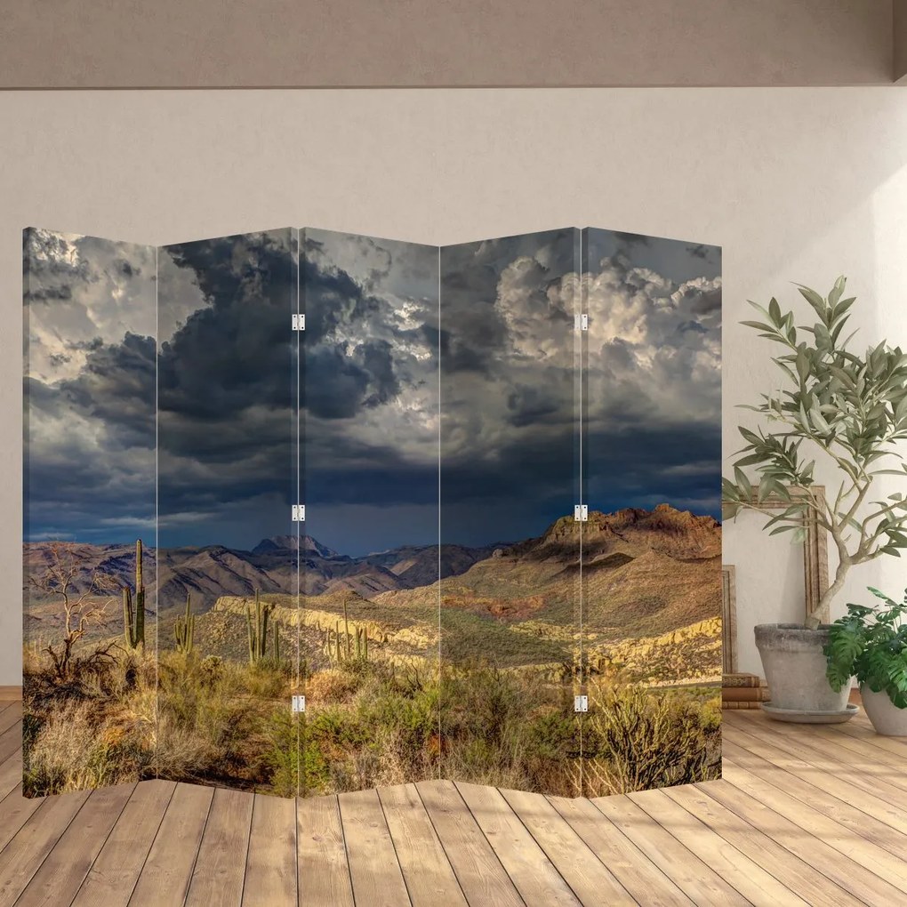 Paravan - Cactușii în natură (210x170 cm)
