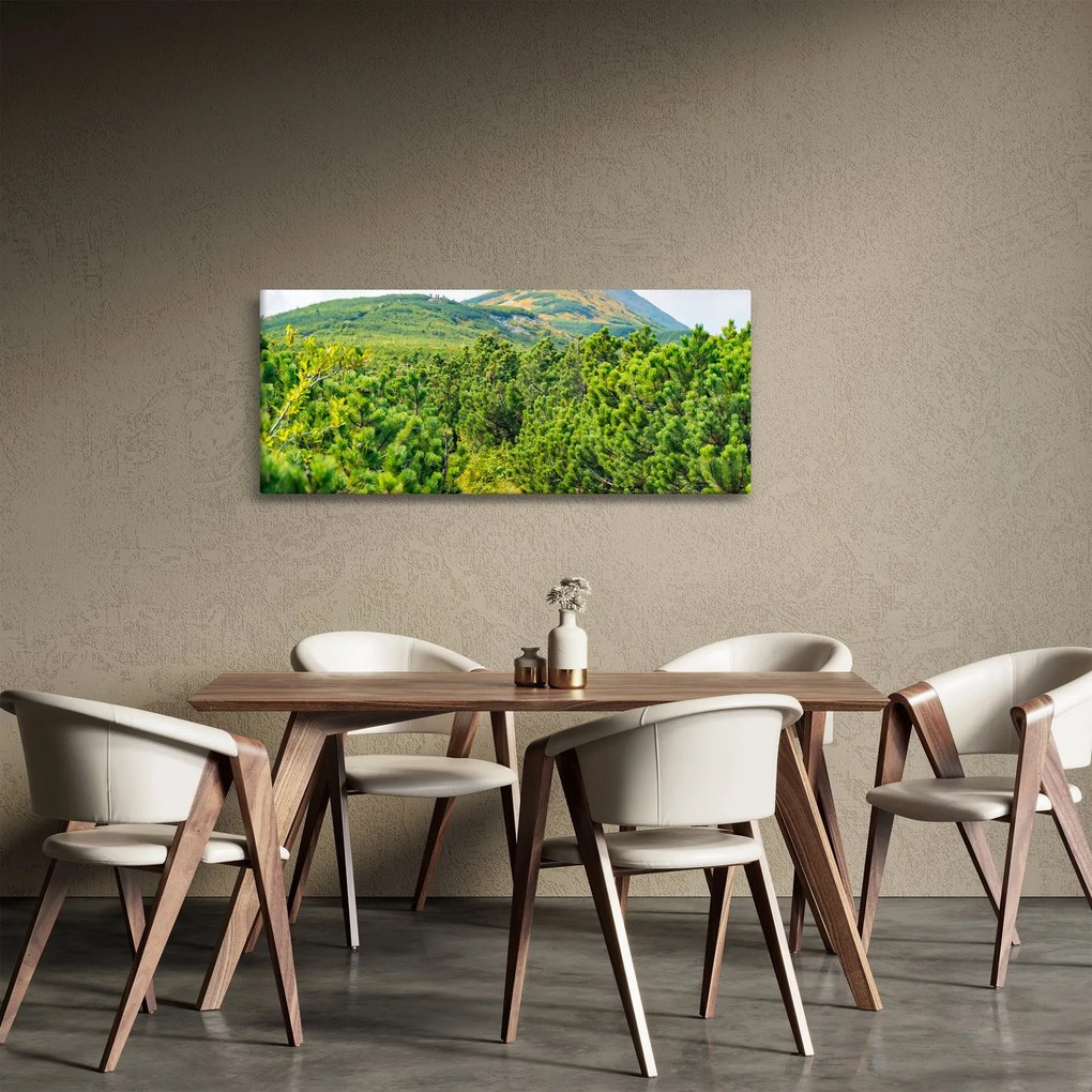 Tablou - Babi Hora, Polonia (120x50 cm)