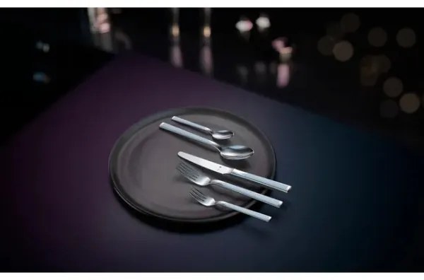 Set tacâmuri WMF Art Deco, 66 piese