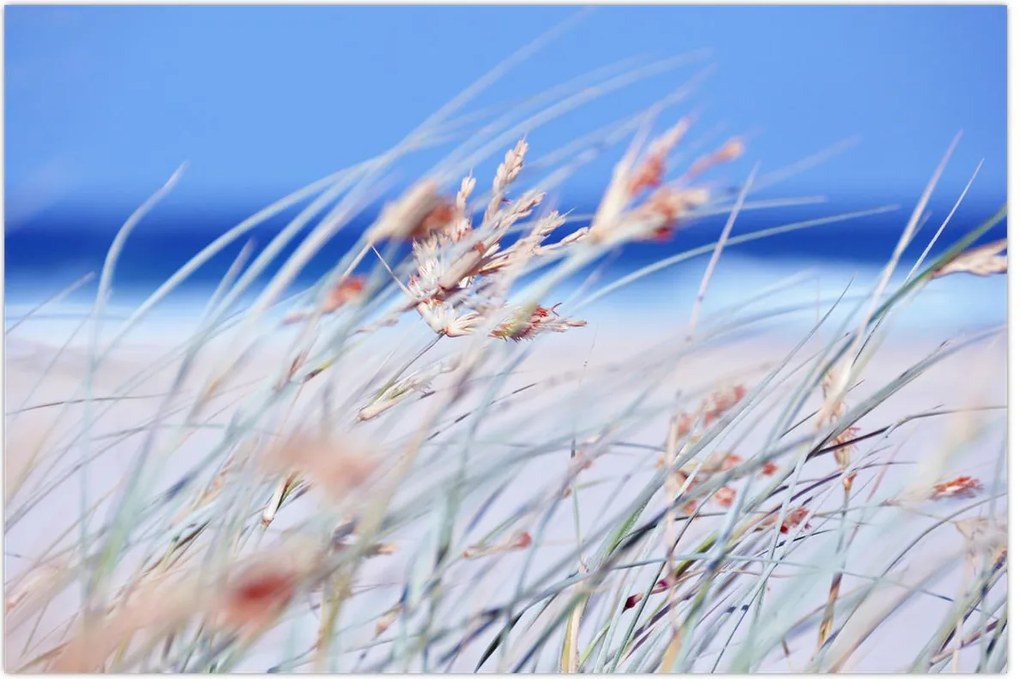 Tablou - Briză (90x60 cm)