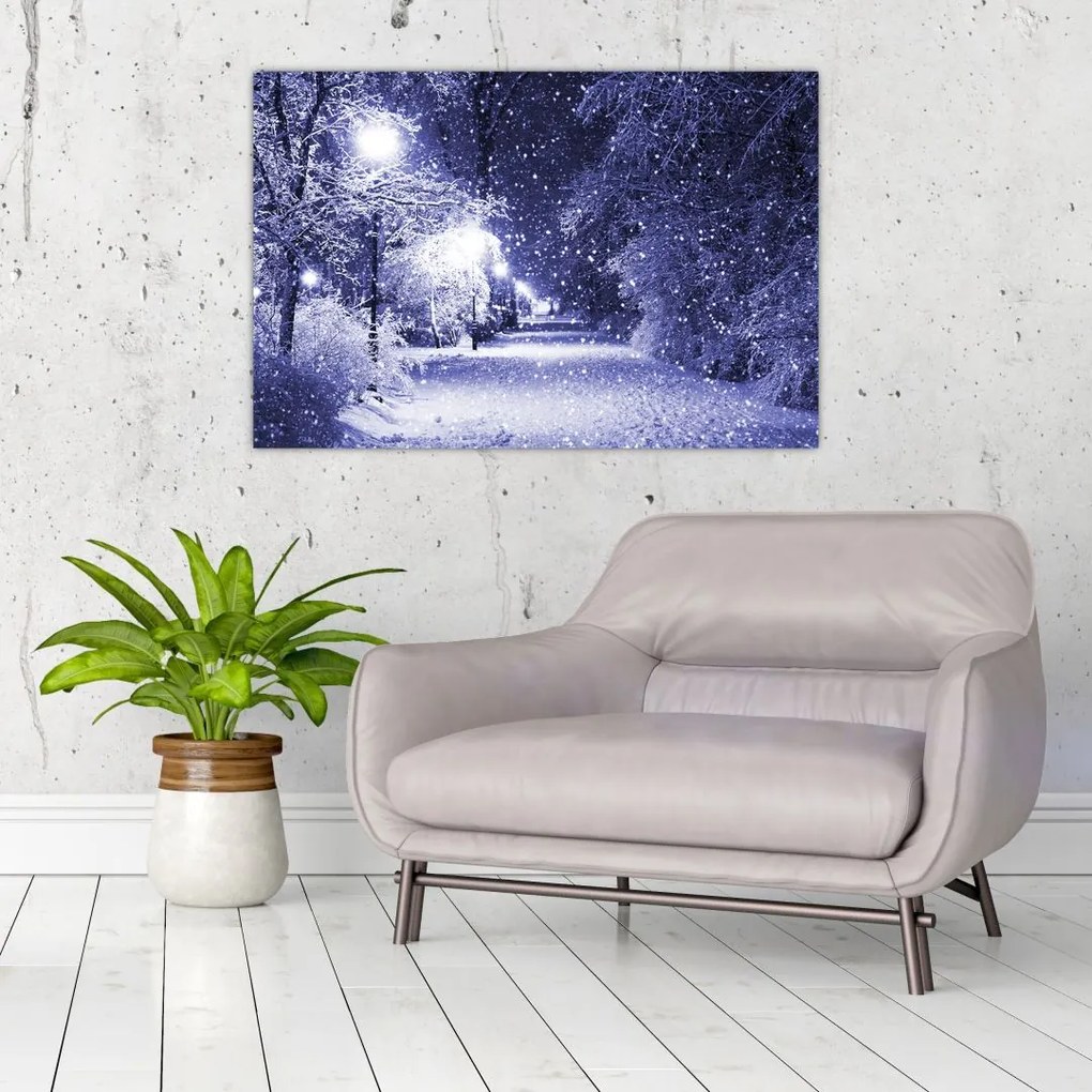 Tablou - Noaptea magică de iarnă (90x60 cm)
