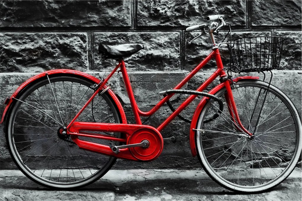 Tablou - Bicicleta istorică (90x60 cm)