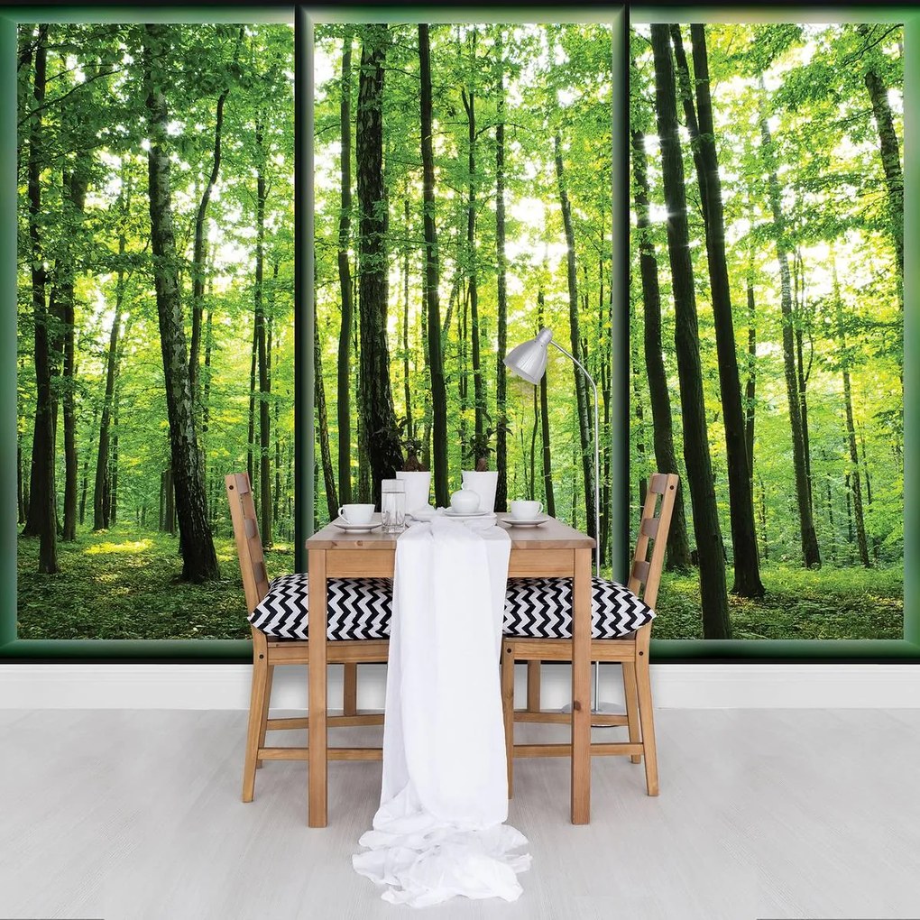 Fototapet - Pădure (152,5x104 cm)