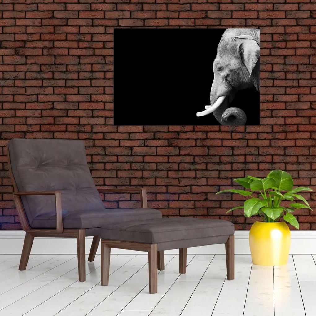 Tablou - Elefant (90x60 cm)