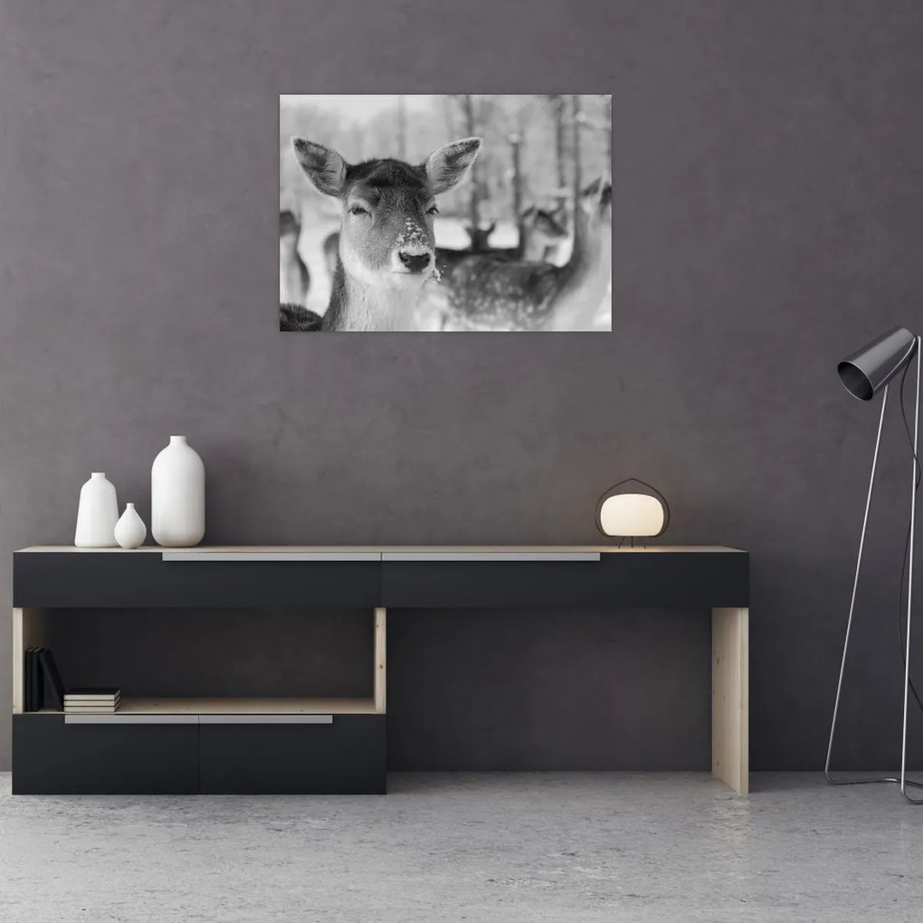 Tablou - Cerbi,alb-negru (70x50 cm)