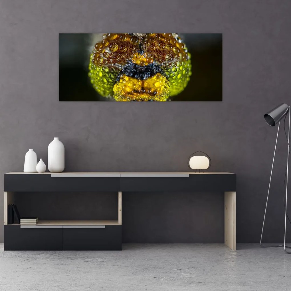 Tablou detailat cu ochii de omidă (120x50 cm)