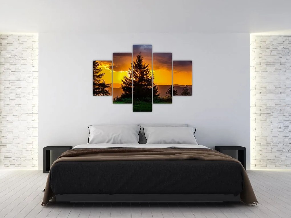 Tablou - coniferi (150x105 cm)