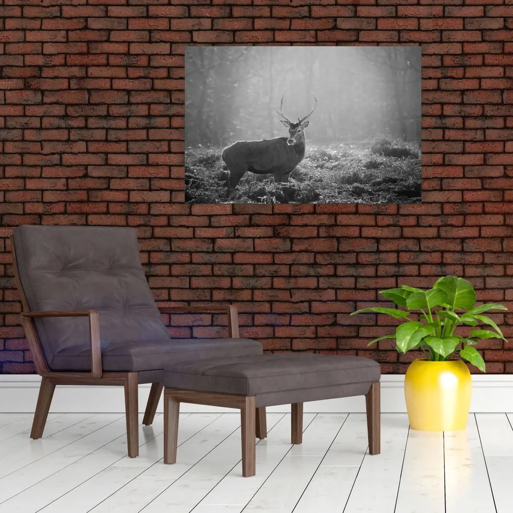 Tablou - Căprioare in pădure,alb-negru (90x60 cm)