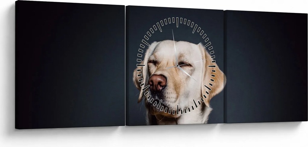 Tablou cu labrador (cu ceas) (90x30 cm)