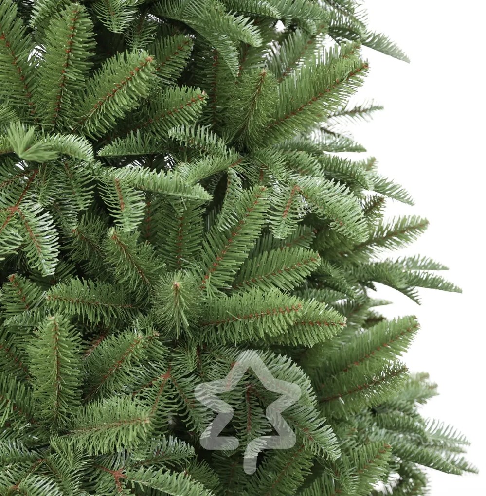 Brad Nordmann 240 cm