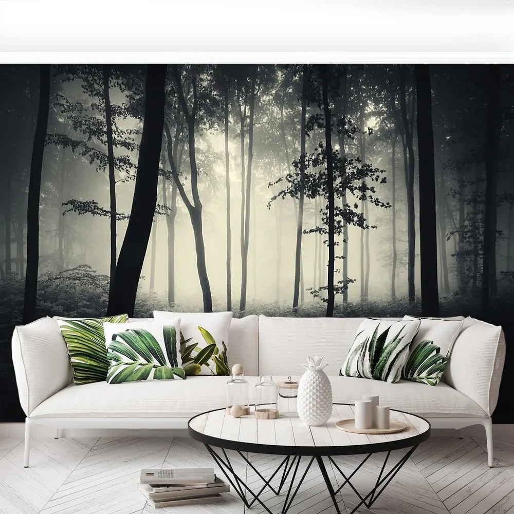 Fototapet Misty Forest