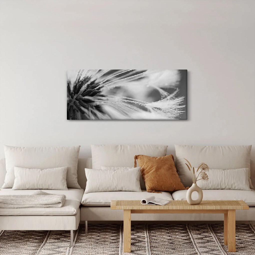 Tablou - Macro,alb-negru (120x50 cm)