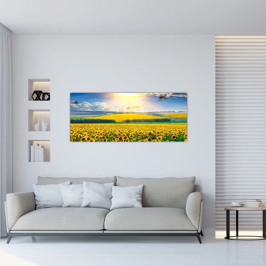 Tablou - Câmp cu floarea soarelui (120x50 cm)