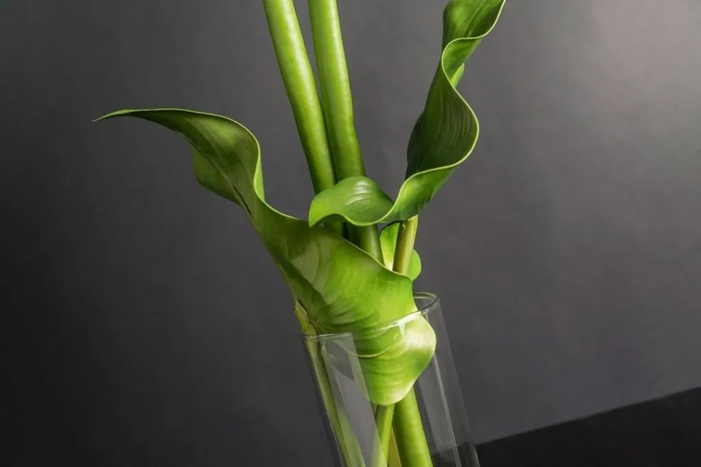 Aranjament floral mediu design LUX CILINDRO CALLA