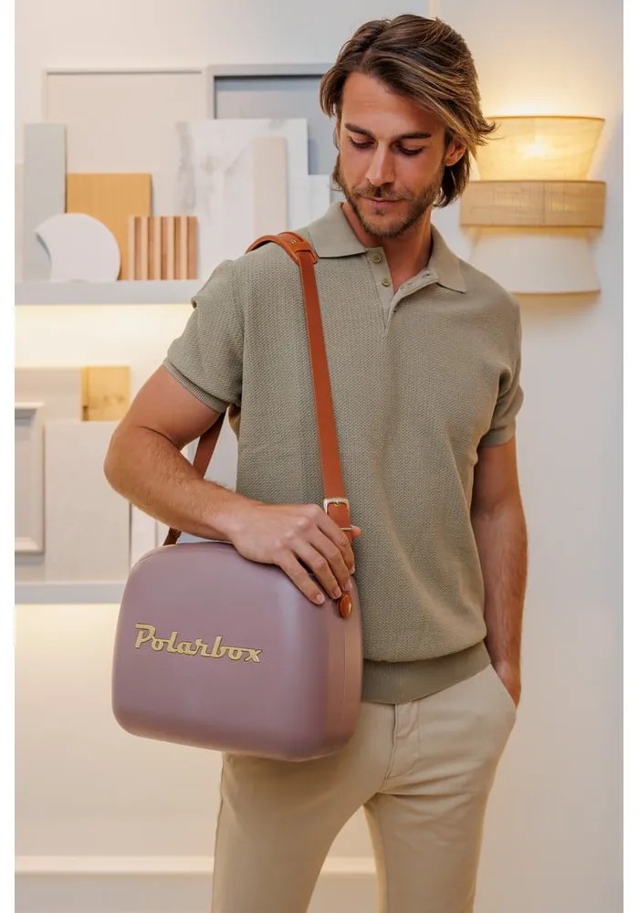 Cutie termoizolantă maro 6 l Classic Gold – Polarbox