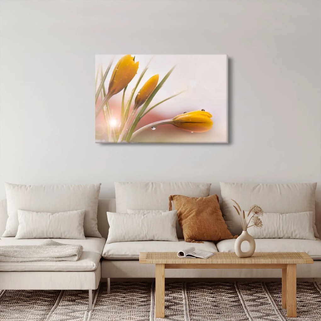 Tablou - Flori de primăvară (90x60 cm)