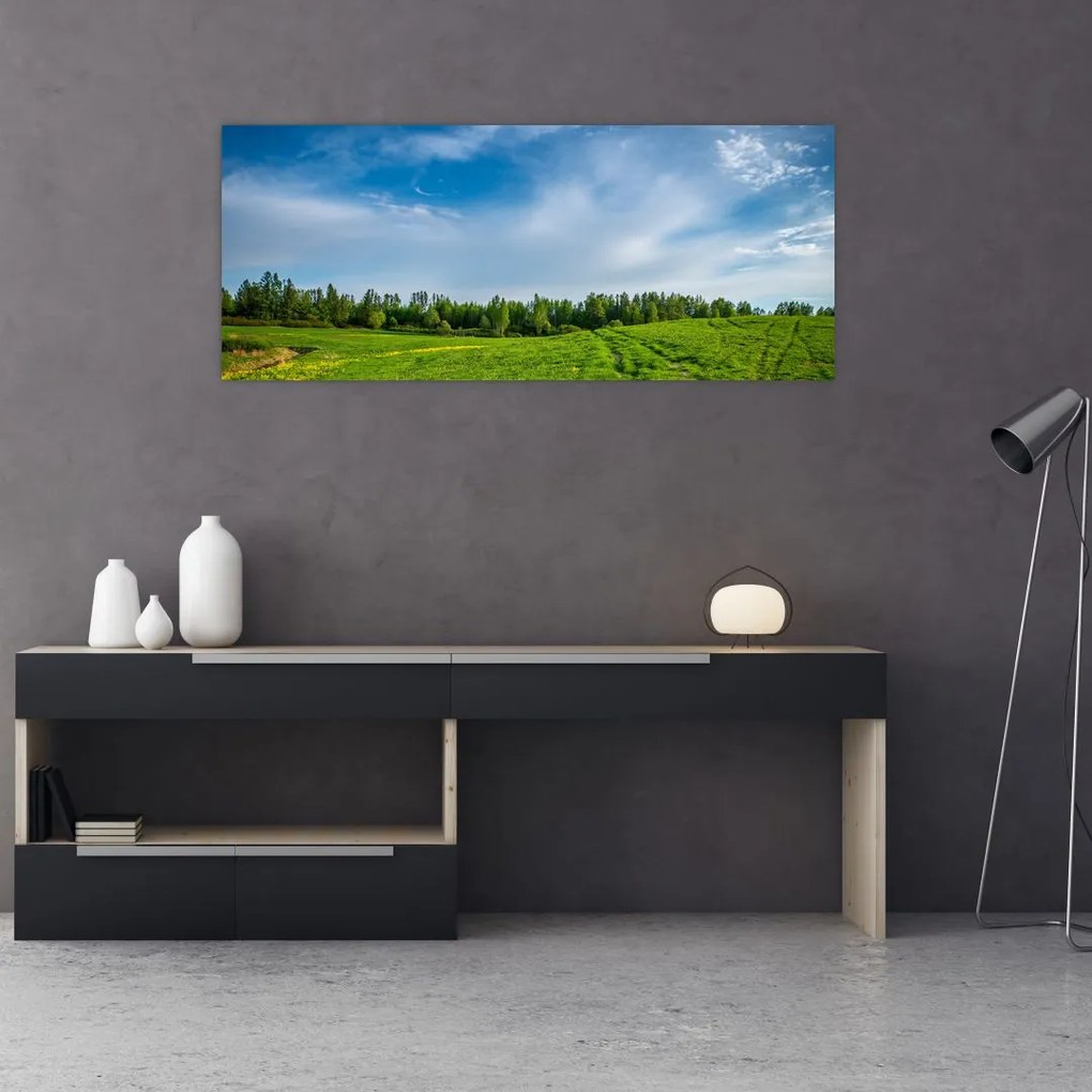 Tablou cu luncă (120x50 cm)