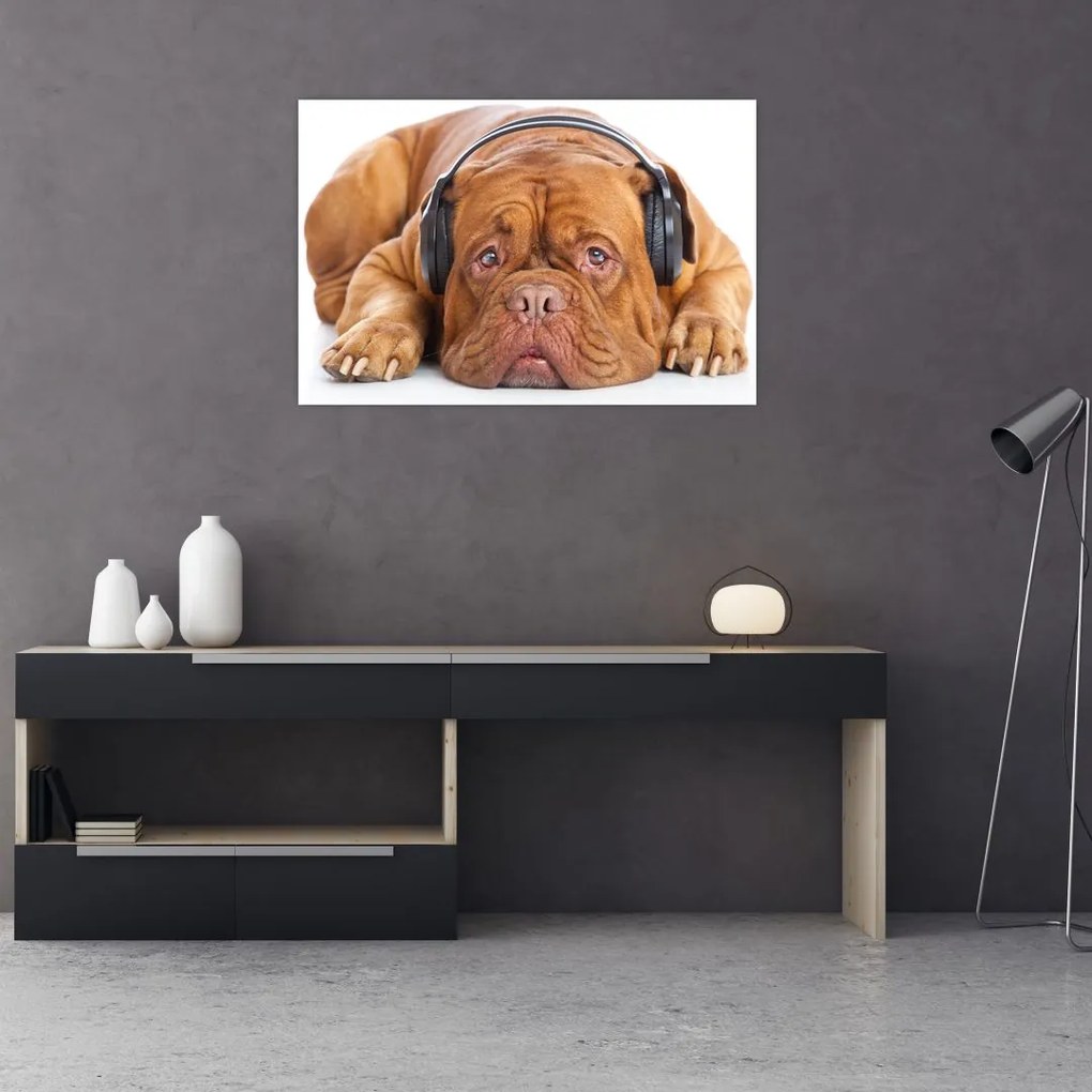 Tablou câinele cu căști (90x60 cm)