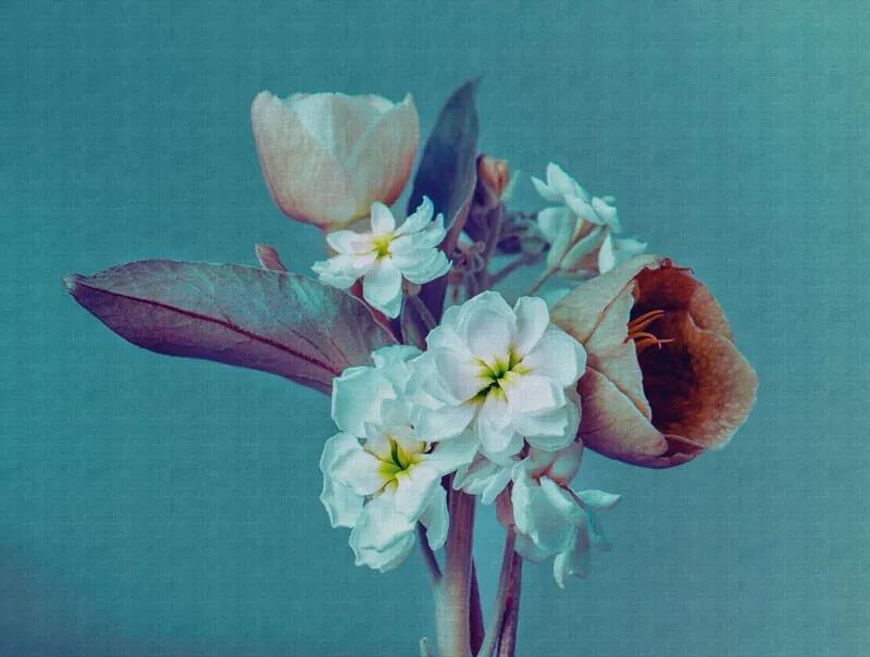 Fototapet turcoaz cu flori mari