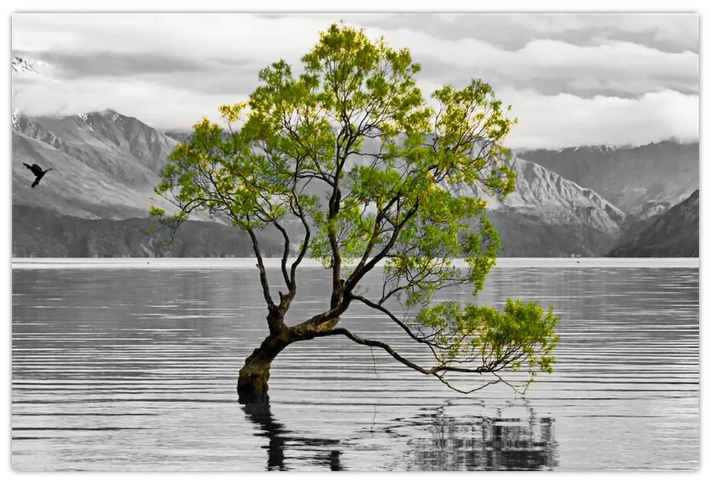 Tablou copacului în mijlocul lacului (90x60 cm)
