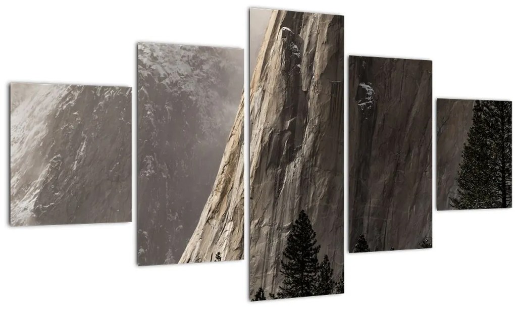 Tablou  din valea Yosemite parcul național, SUA (125x70 cm), în 40 de alte dimensiuni noi