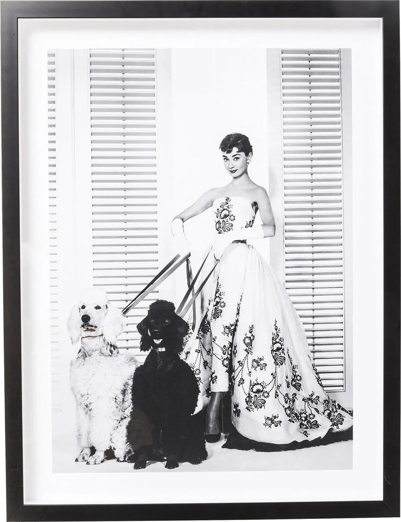 Tablou cu rama Actor Audrey Diva 65x85cm