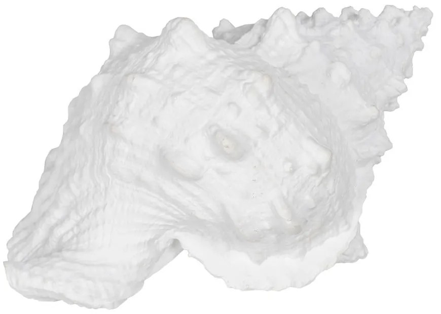 Statuetă din polirășină (înălțime 12 cm) Seashell – Ixia