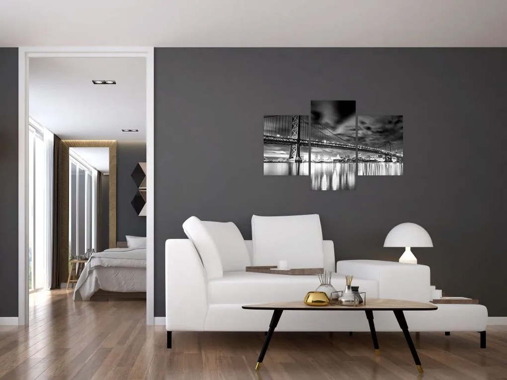 Tablou - Podul Benjamin Franklin, Philadelphia, alb-negru (90x60 cm)