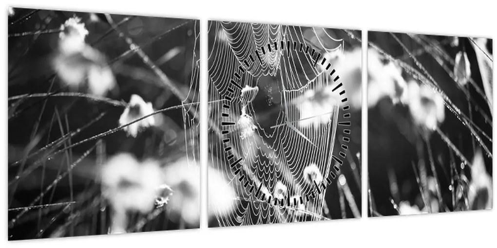 Tablou - Pânza de păianjen în pajiște (cu ceas) (90x30 cm)